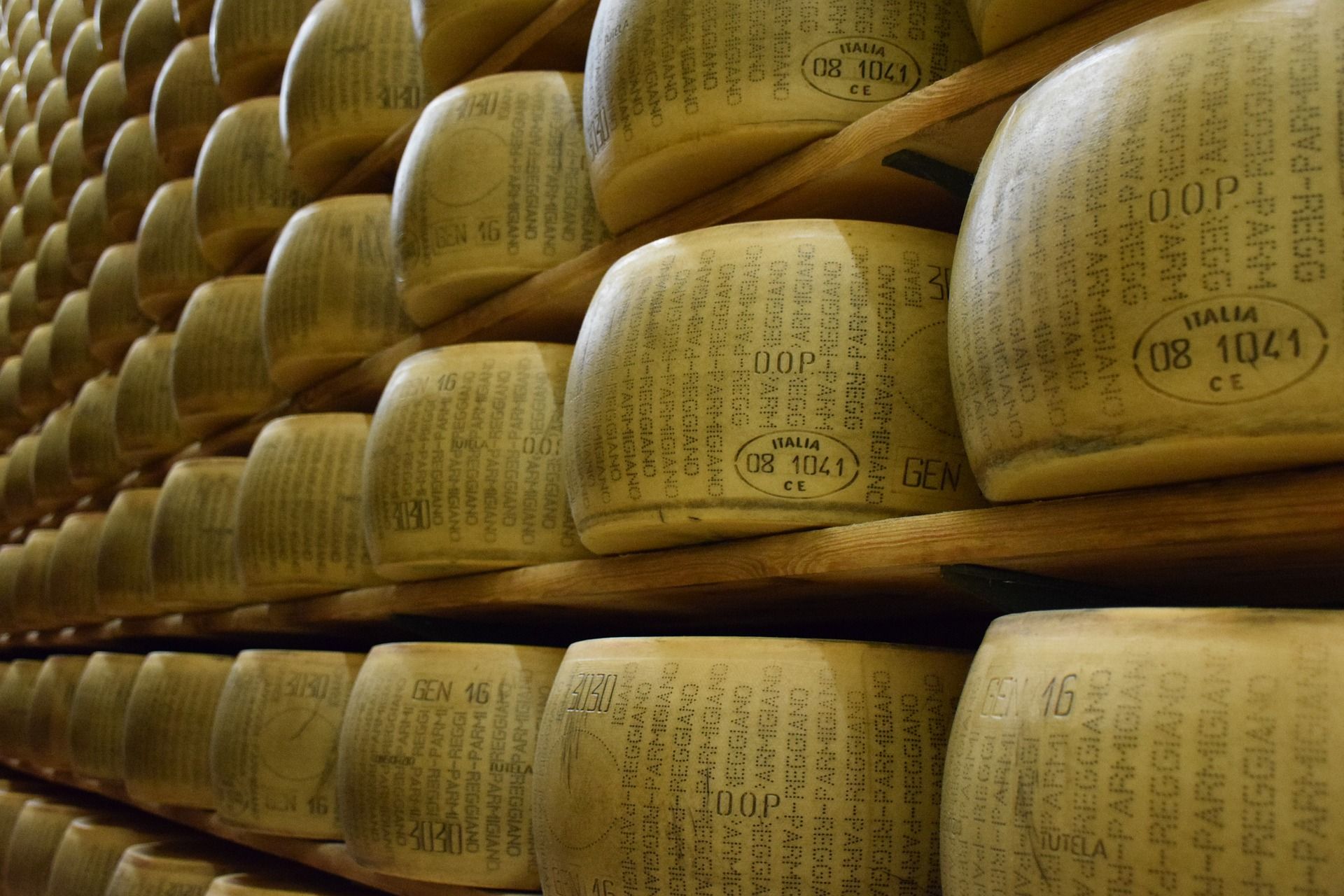 Parmigiano Reggiano Canada Italy Diary Import Export